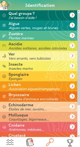 Capture d'écran responsive de Bernic&Clic